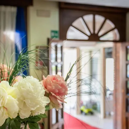 Hotel Harry's 3*