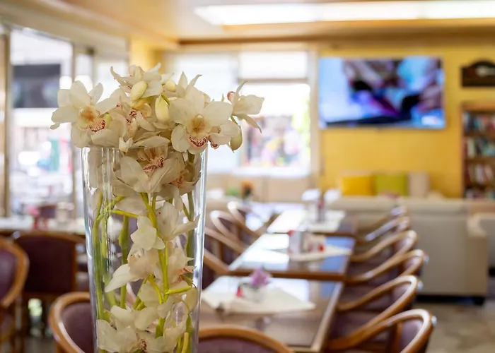 Harry's 3* Лидо-ди-Езоло