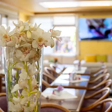 Harry's 3* Lido di Jesolo